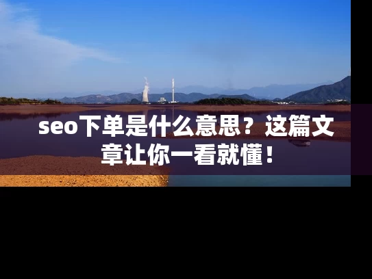 seo下单是什么意思？这篇文章让你一看就懂！