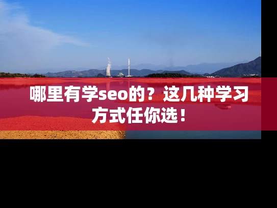 哪里有学seo的？这几种学习方式任你选！