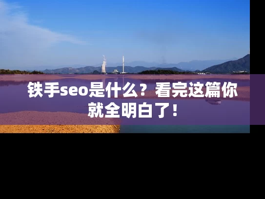 铁手seo是什么？看完这篇你就全明白了！