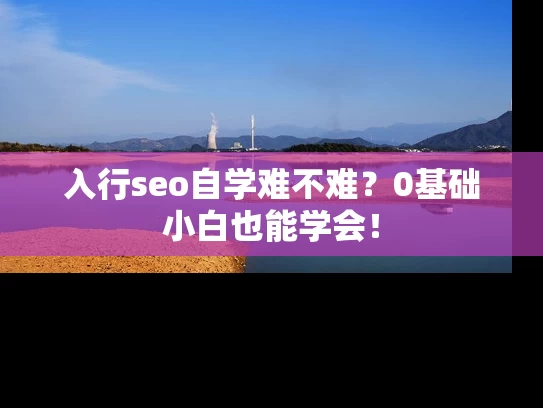 入行seo自学难不难？0基础小白也能学会！