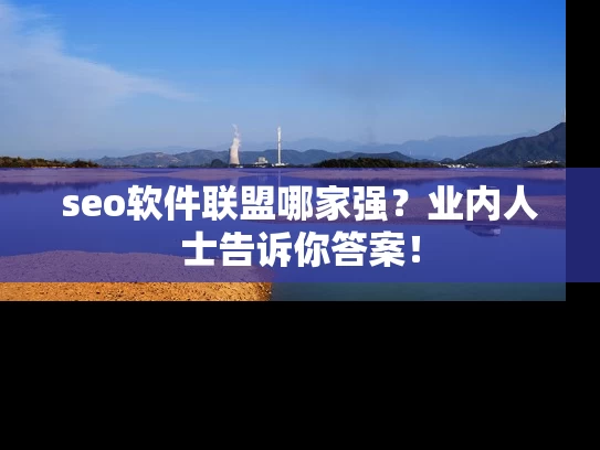 seo软件联盟哪家强？业内人士告诉你答案！