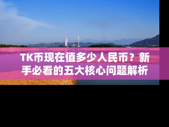 TK币现在值多少人民币？新手必看的五大核心问题解析
