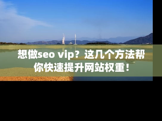 想做seo vip？这几个方法帮你快速提升网站权重！