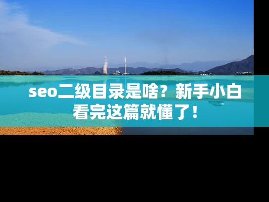 seo二级目录是啥？新手小白看完这篇就懂了！