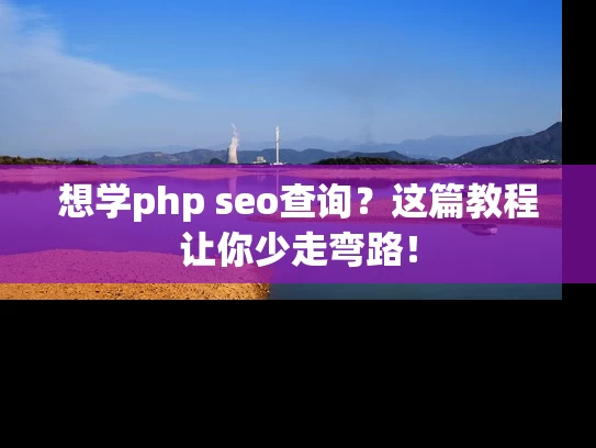想学php seo查询？这篇教程让你少走弯路！