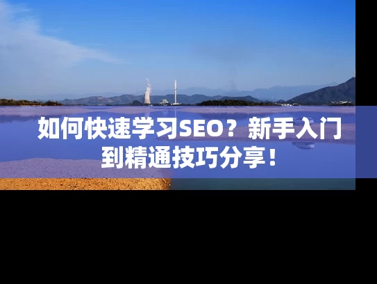 如何快速学习SEO？新手入门到精通技巧分享！
