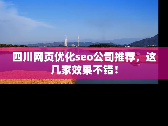 四川网页优化seo公司推荐，这几家效果不错！