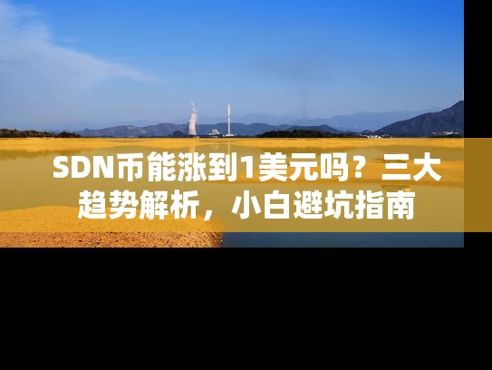 SDN币能涨到1美元吗？三大趋势解析，小白避坑指南