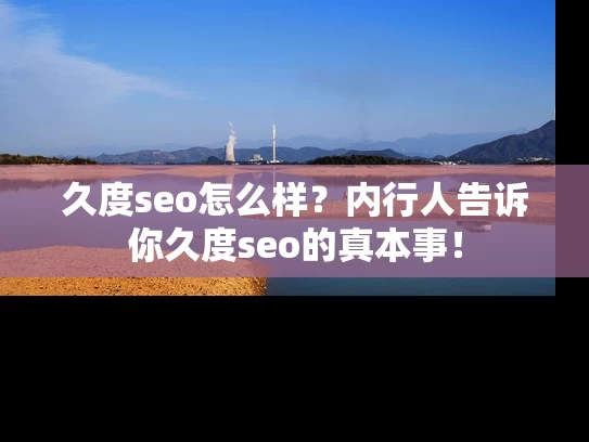 久度seo怎么样？内行人告诉你久度seo的真本事！