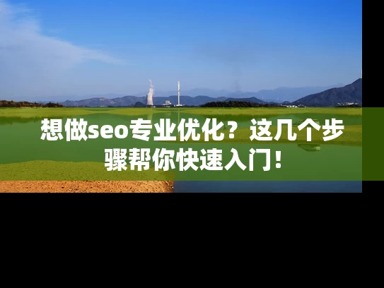 想做seo专业优化？这几个步骤帮你快速入门！