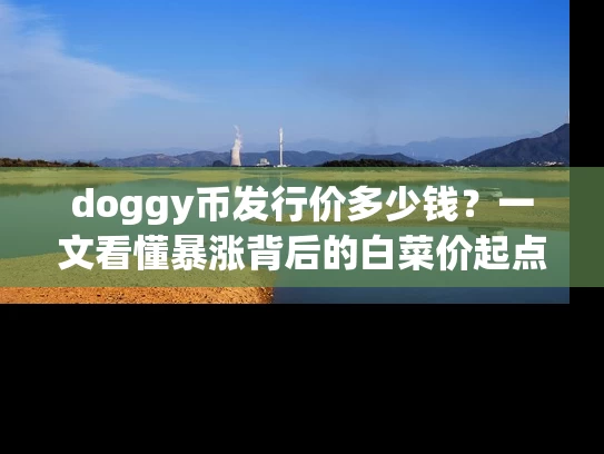doggy币发行价多少钱？一文看懂暴涨背后的白菜价起点