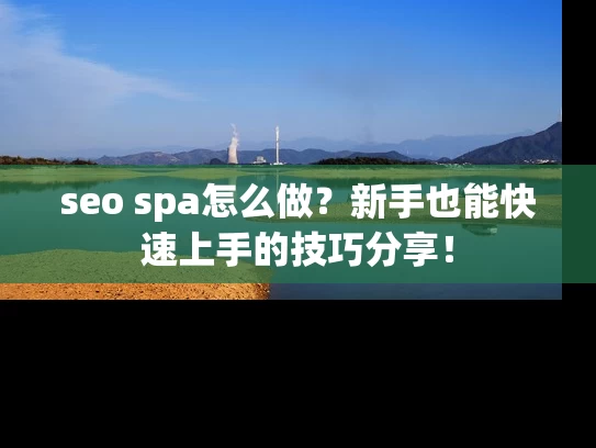 seo spa怎么做？新手也能快速上手的技巧分享！