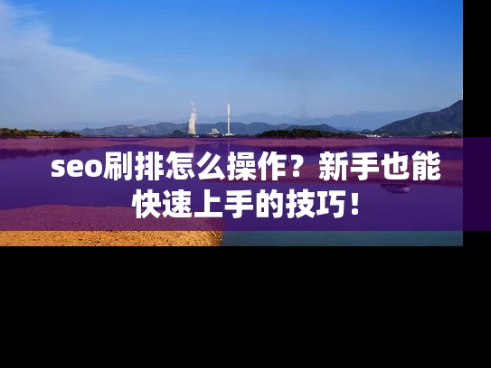 seo刷排怎么操作？新手也能快速上手的技巧！