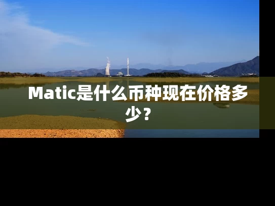 Matic是什么币种现在价格多少？