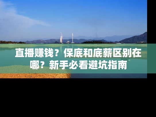 直播赚钱？保底和底薪区别在哪？新手必看避坑指南