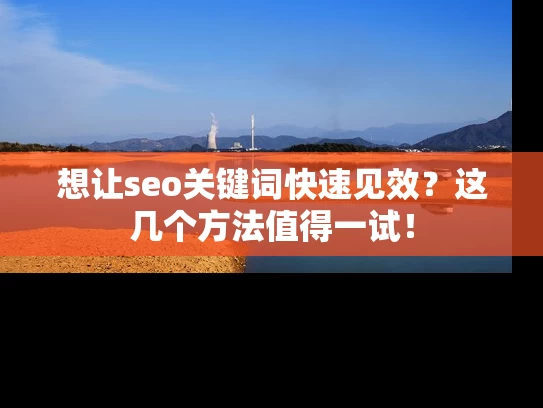 想让seo关键词快速见效？这几个方法值得一试！