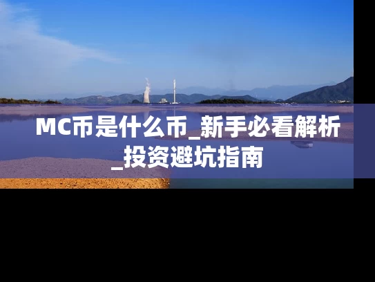 MC币是什么币_新手必看解析_投资避坑指南