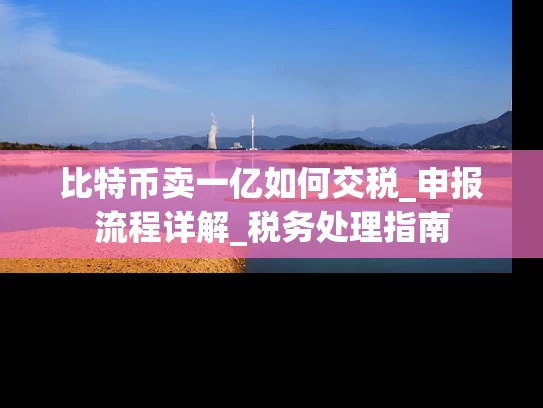 比特币卖一亿如何交税_申报流程详解_税务处理指南