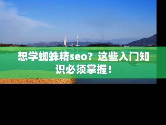 想学蜘蛛精seo？这些入门知识必须掌握！