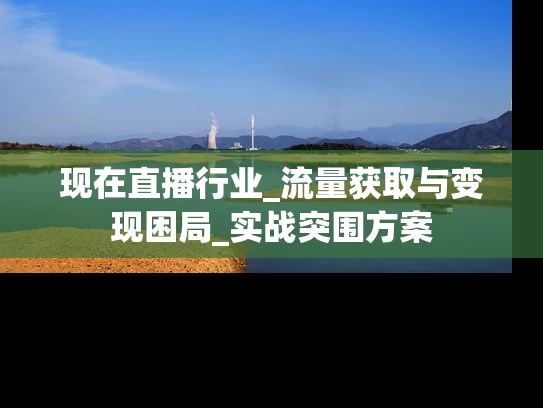 现在直播行业_流量获取与变现困局_实战突围方案