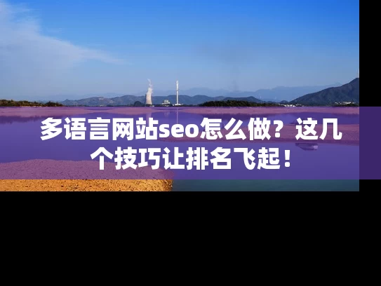 多语言网站seo怎么做？这几个技巧让排名飞起！