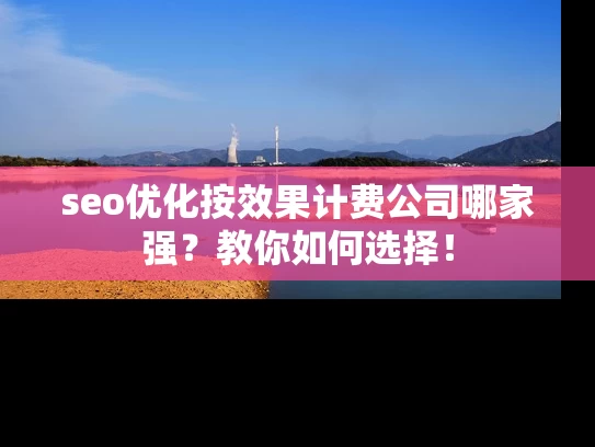 seo优化按效果计费公司哪家强？教你如何选择！