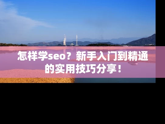 怎样学seo？新手入门到精通的实用技巧分享！