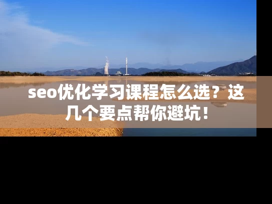 seo优化学习课程怎么选？这几个要点帮你避坑！
