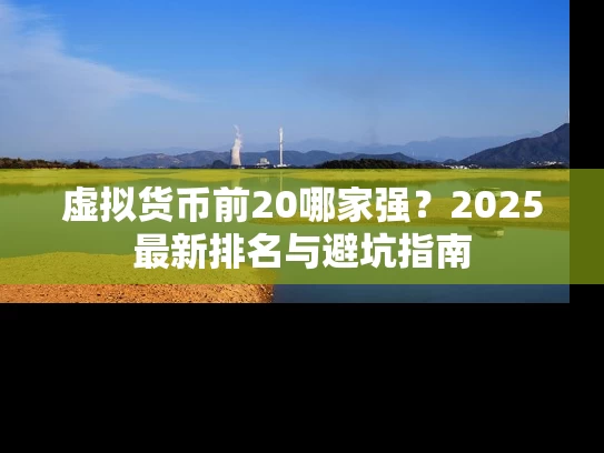 虚拟货币前20哪家强？2025最新排名与避坑指南