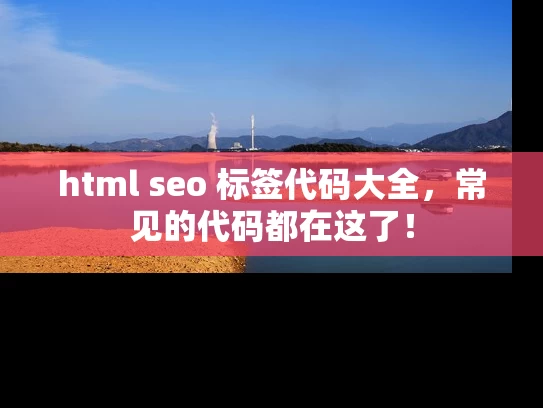 html seo 标签代码大全，常见的代码都在这了！
