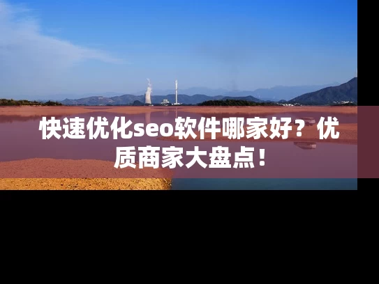快速优化seo软件哪家好？优质商家大盘点！