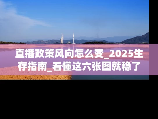 直播政策风向怎么变_2025生存指南_看懂这六张图就稳了