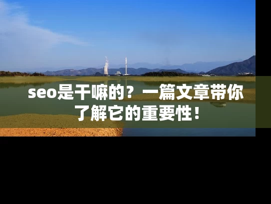 seo是干嘛的？一篇文章带你了解它的重要性！