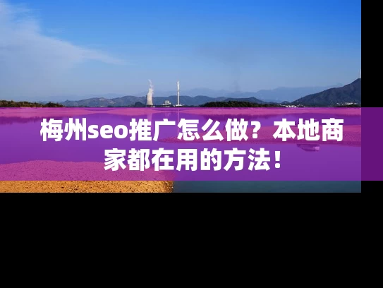 梅州seo推广怎么做？本地商家都在用的方法！