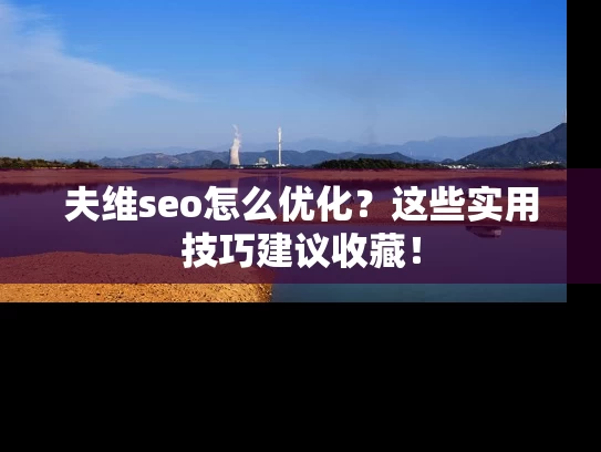 夫维seo怎么优化？这些实用技巧建议收藏！