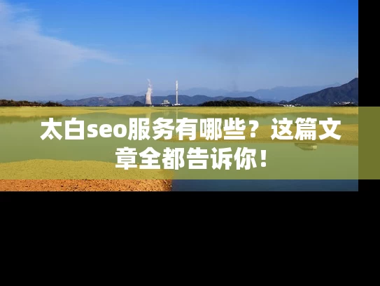 太白seo服务有哪些？这篇文章全都告诉你！