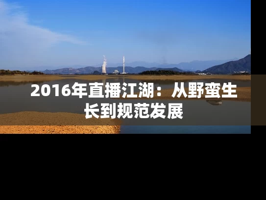 2016年直播江湖：从野蛮生长到规范发展