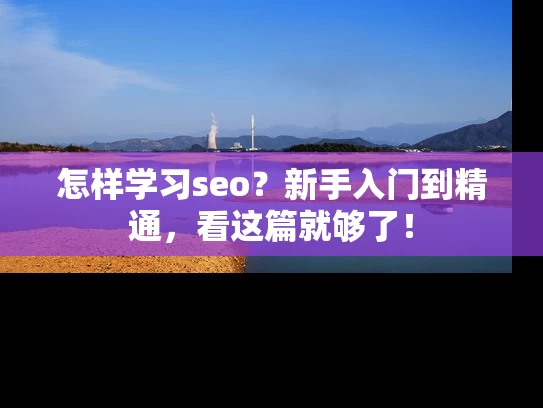 怎样学习seo？新手入门到精通，看这篇就够了！