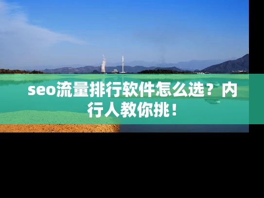 seo流量排行软件怎么选？内行人教你挑！