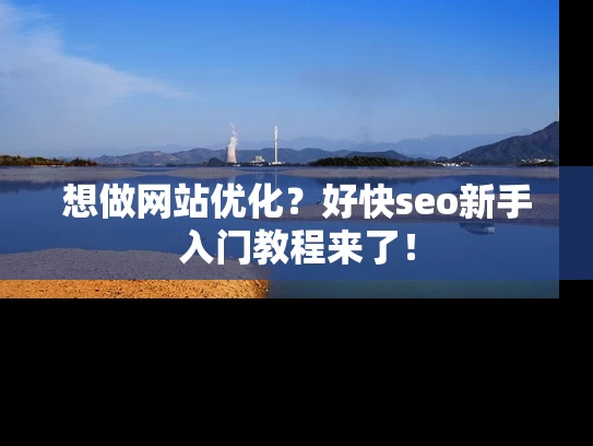 想做网站优化？好快seo新手入门教程来了！