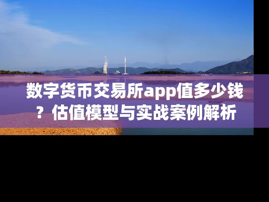 数字货币交易所app值多少钱？估值模型与实战案例解析