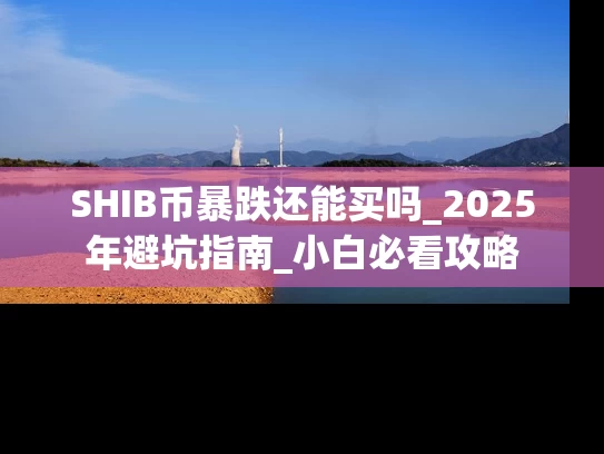 SHIB币暴跌还能买吗_2025年避坑指南_小白必看攻略