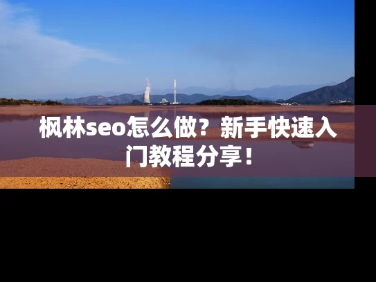 枫林seo怎么做？新手快速入门教程分享！