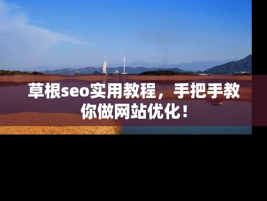 草根seo实用教程，手把手教你做网站优化！