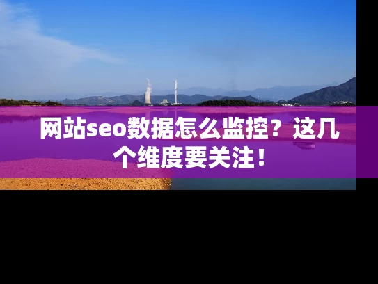 网站seo数据怎么监控？这几个维度要关注！