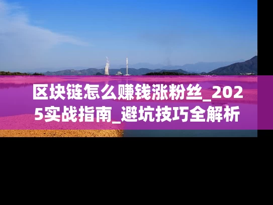 区块链怎么赚钱涨粉丝_2025实战指南_避坑技巧全解析
