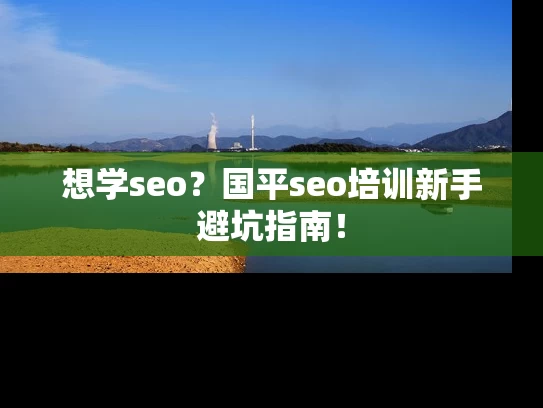 想学seo？国平seo培训新手避坑指南！