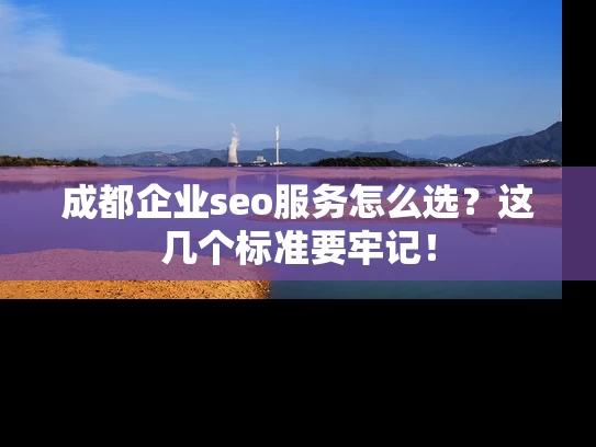 成都企业seo服务怎么选？这几个标准要牢记！