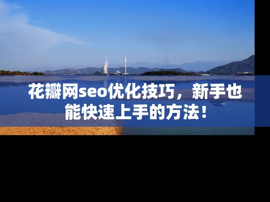 花瓣网seo优化技巧，新手也能快速上手的方法！