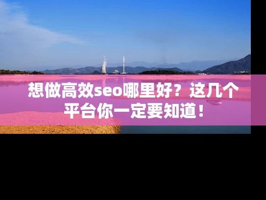 想做高效seo哪里好？这几个平台你一定要知道！